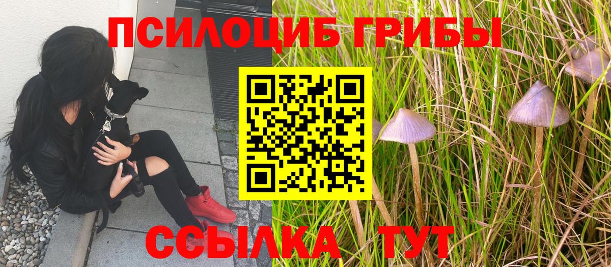 Галлюциногенные грибы MAGIC MUSHROOMS Знаменск